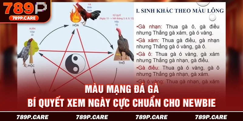 màu mạng đá gà